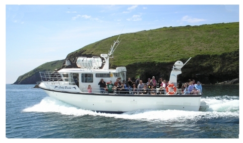 Eco Tour Boat