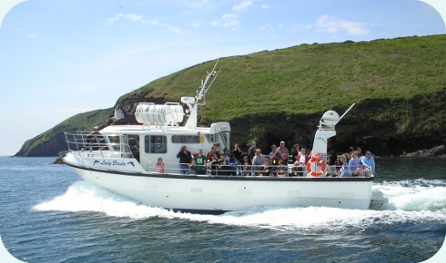 Dingle Eco tour boat Lady Breda