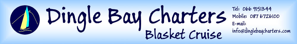Dingle Bay Charters Blasket Cruise