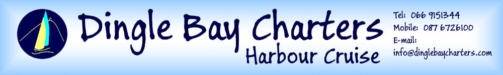 Dingle Harbour Tour