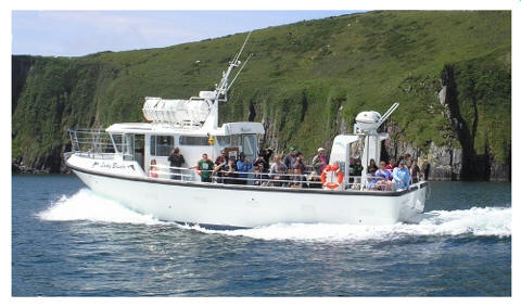 Dingle Great Blasket Island Ferry