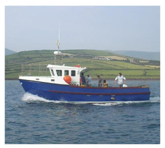 Saimhin Sog 12 passenger boat